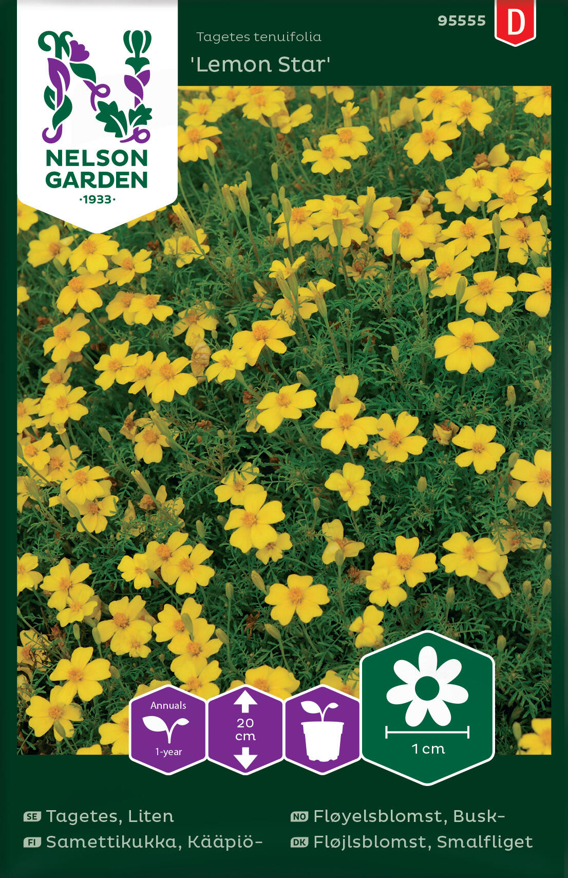 Signet sammetsblomma 'Lemon Star'